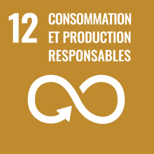 ODD 12: Consommation et production responsables