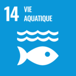 ODD 14: Vie aquatique