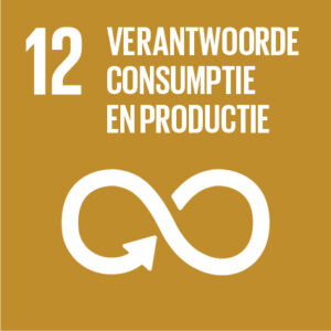 SDG 12: Verantwoorde consumptie en productie