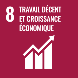 ODD 8: Travail décent et croissance économique