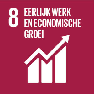 SDG 8: Eerlijk werk en economische groei